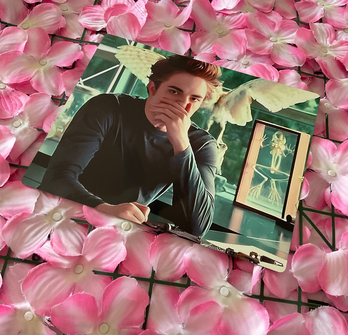Lámina Edward Cullen