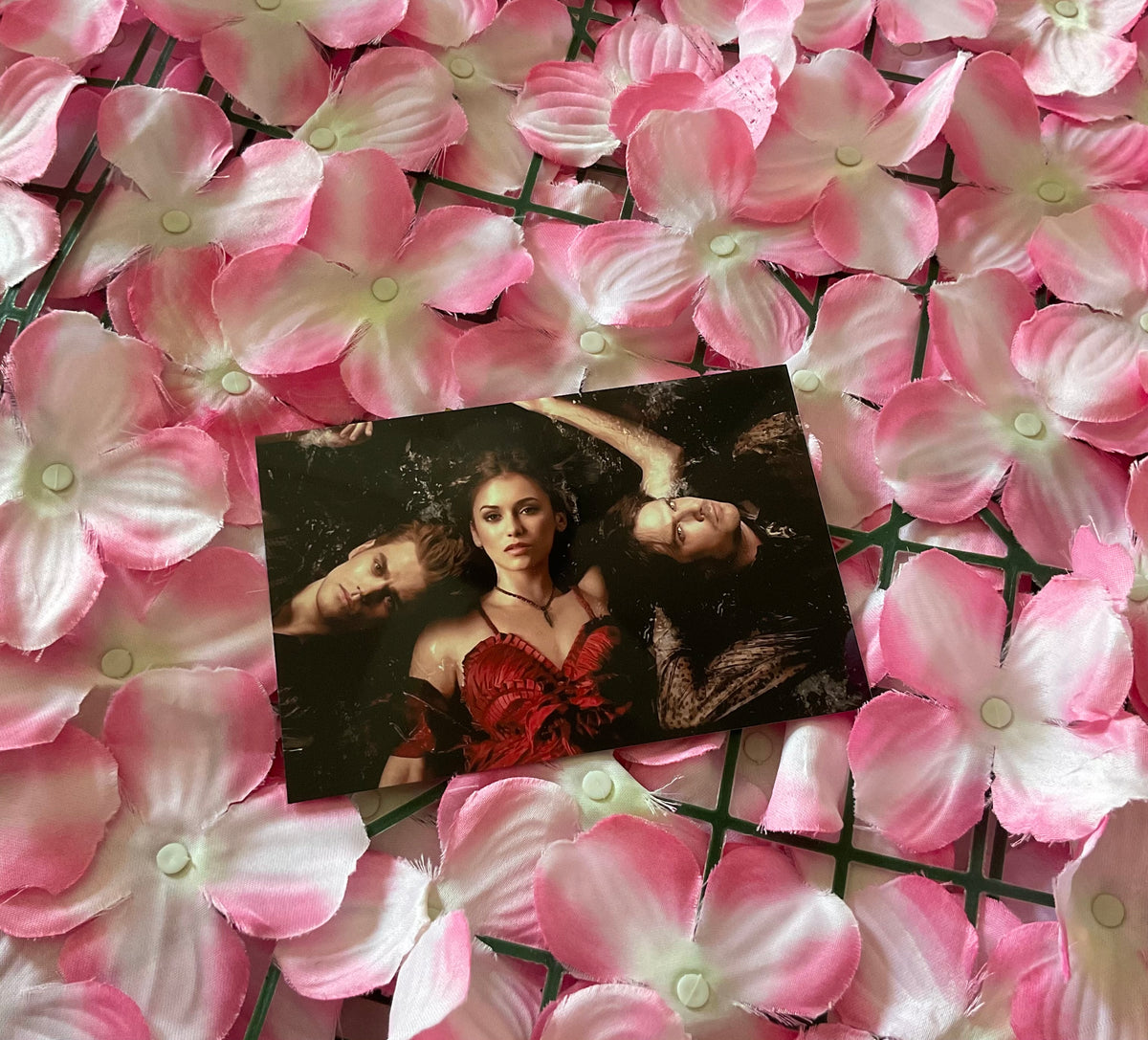 Lámina Postal Vampire Diaries