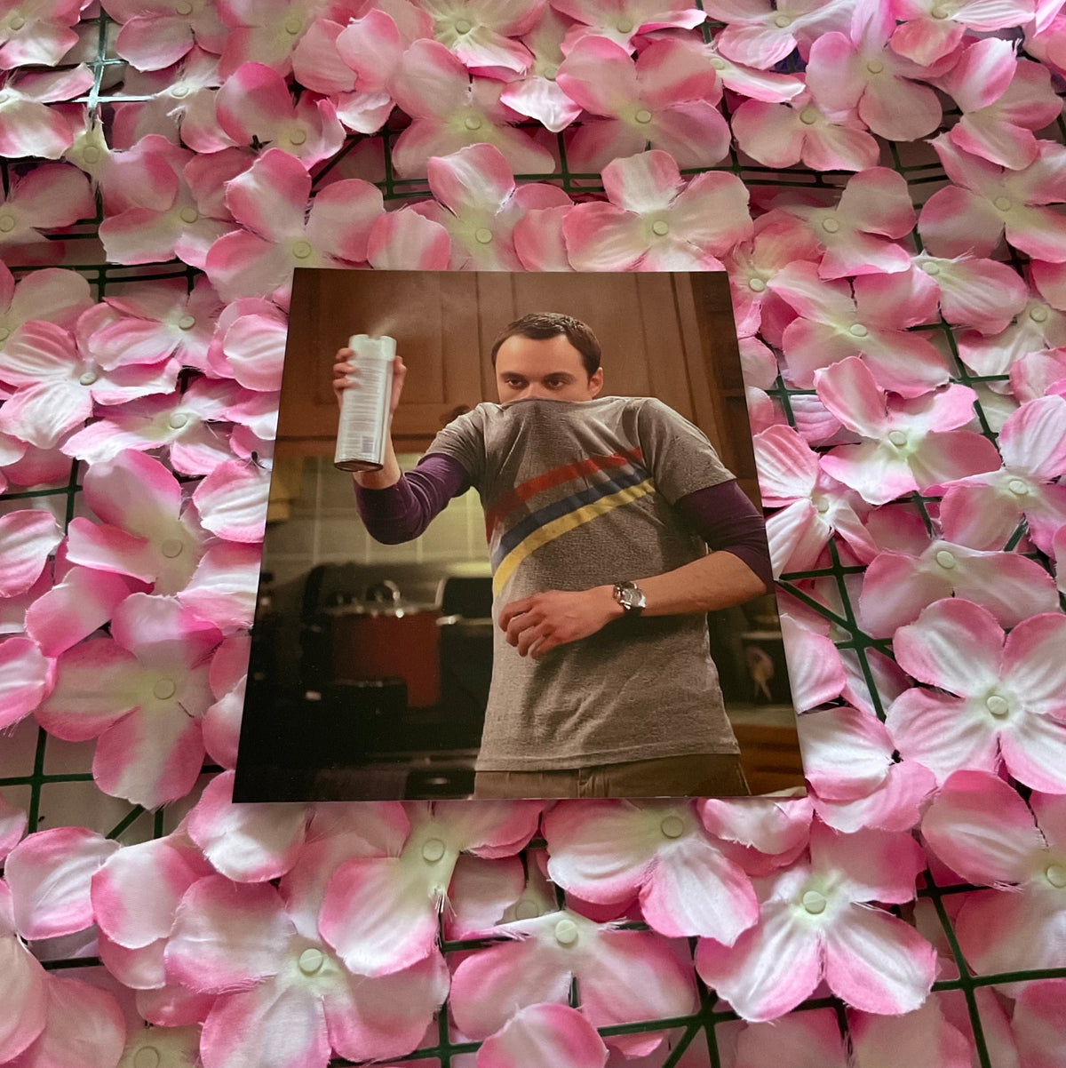 Lámina Sheldon Cooper