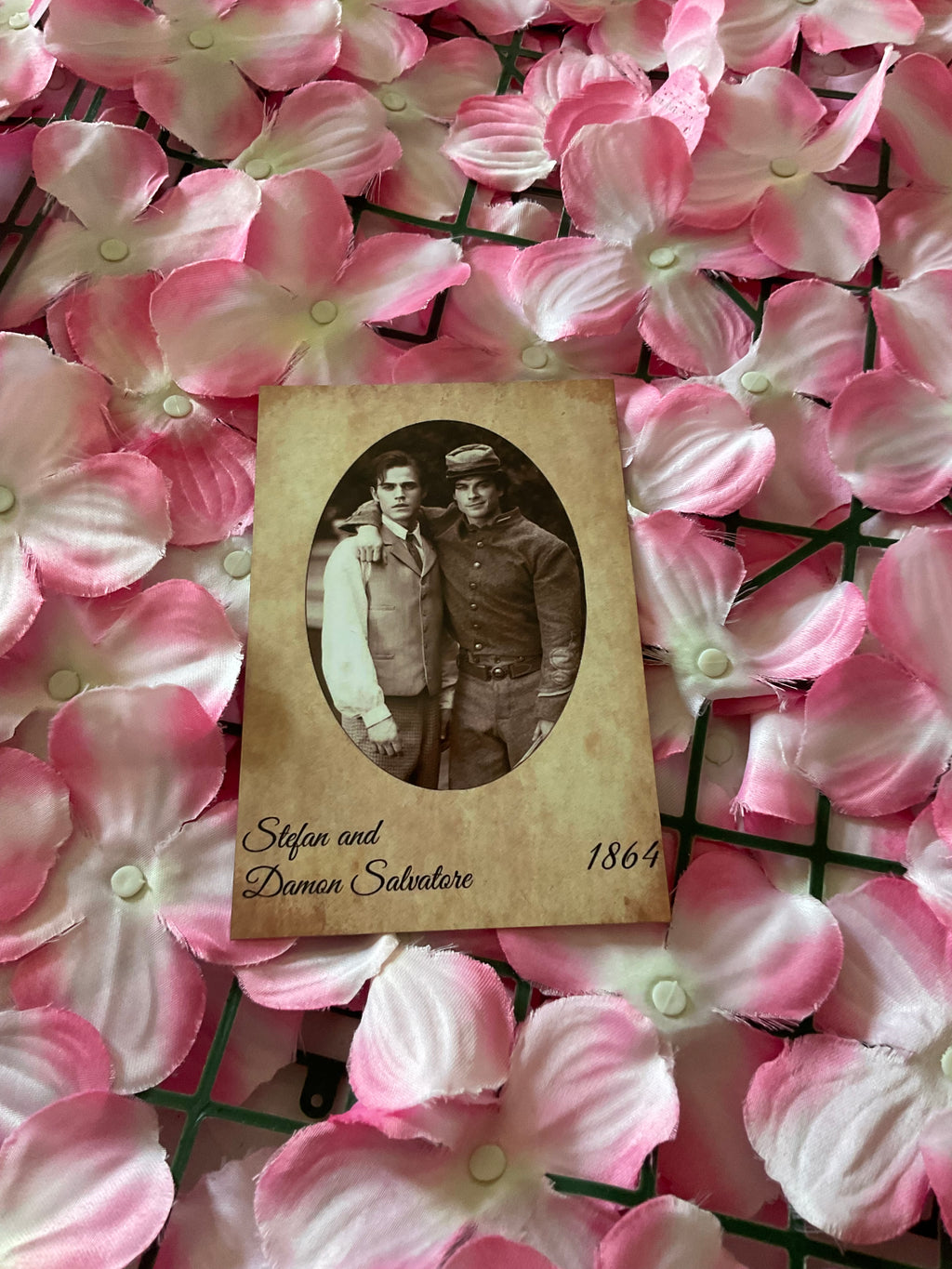 Postal Stefan y Damon Salvatore