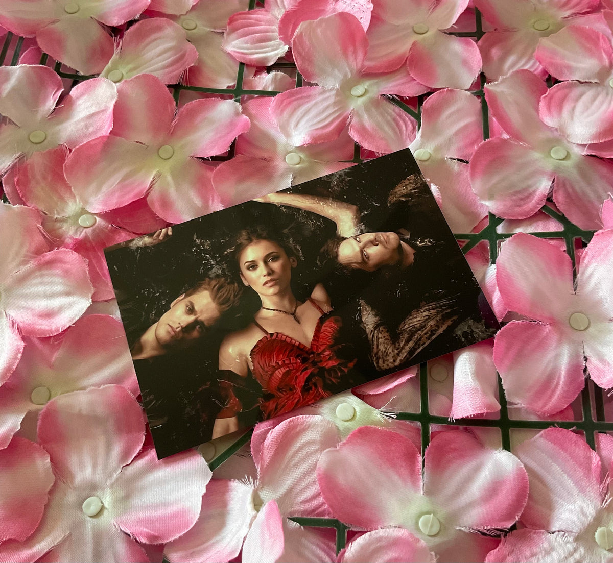 Lámina Postal Vampire Diaries