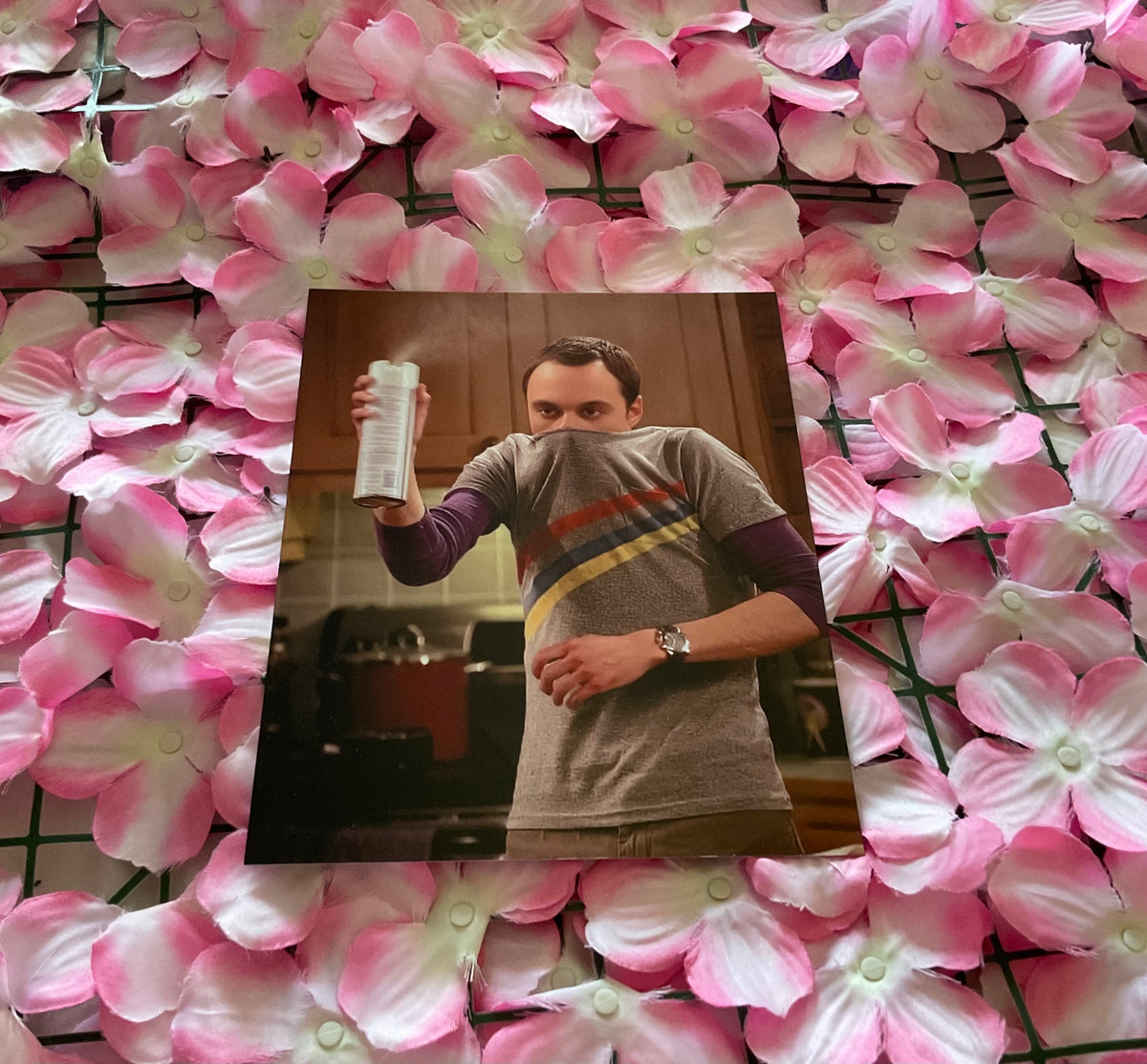 Lámina Sheldon Cooper