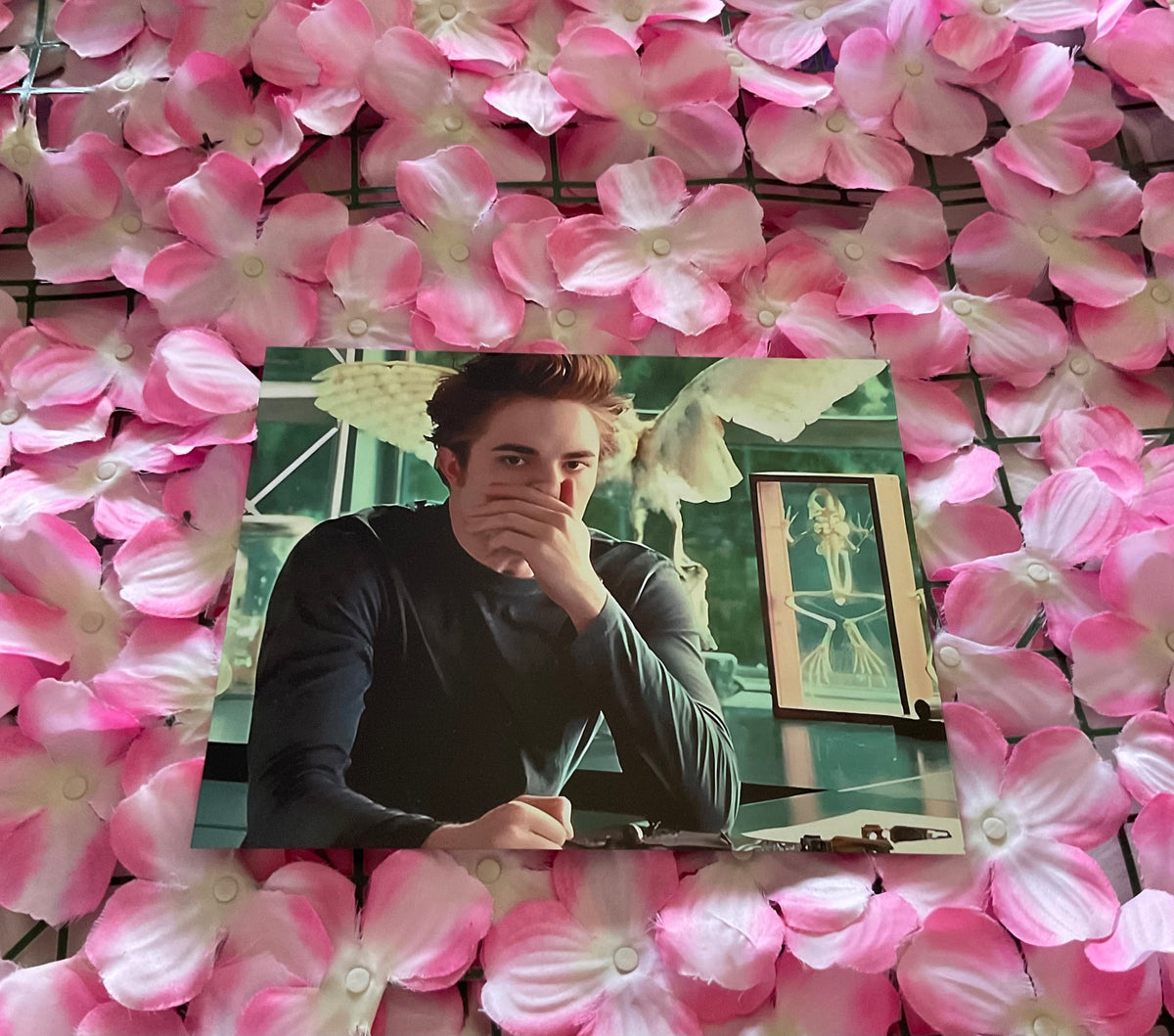 Lámina Edward Cullen