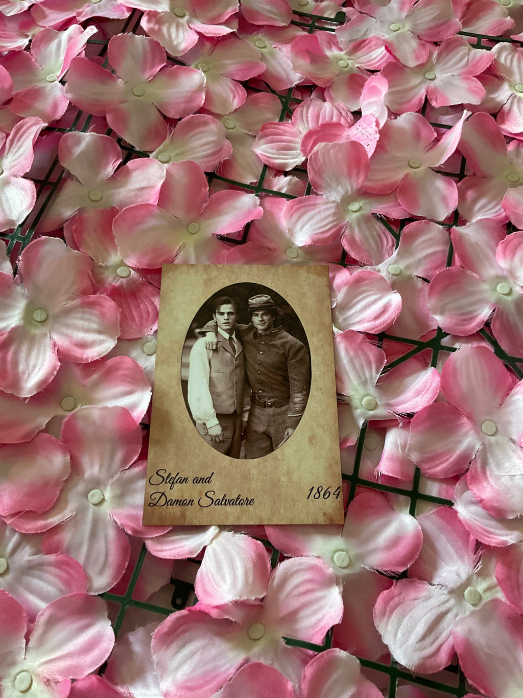 Postal Stefan y Damon Salvatore