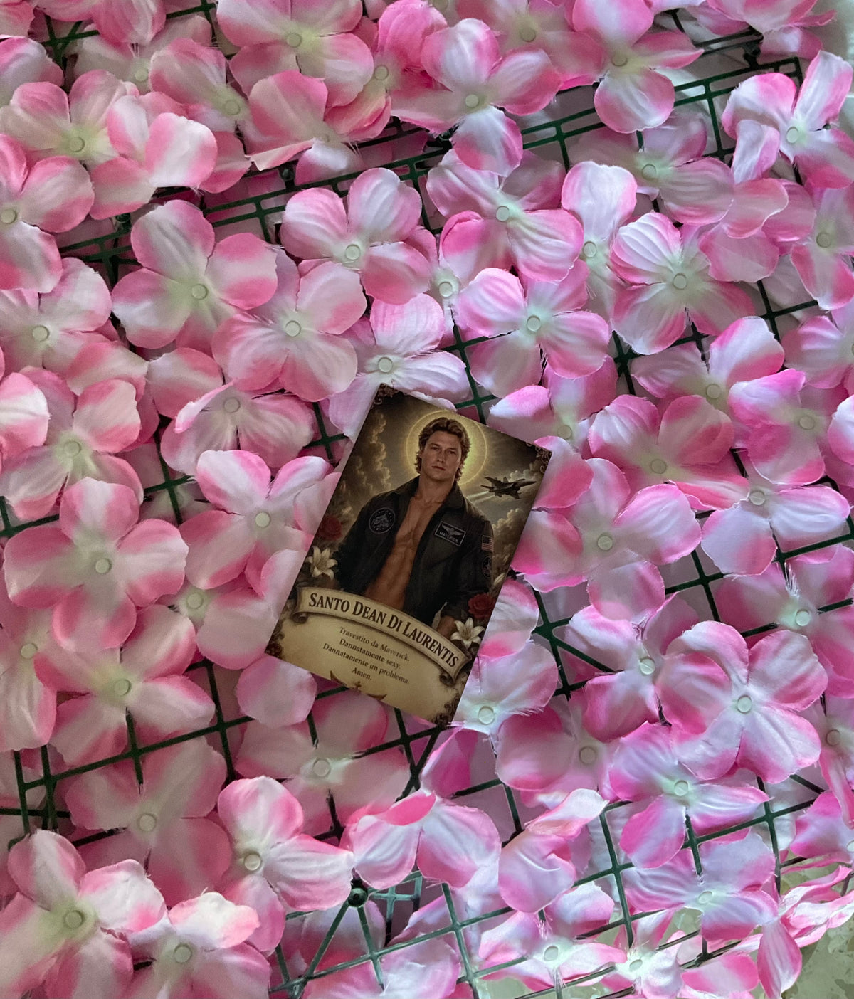 Lámina Postal Dean DiLaurentis
