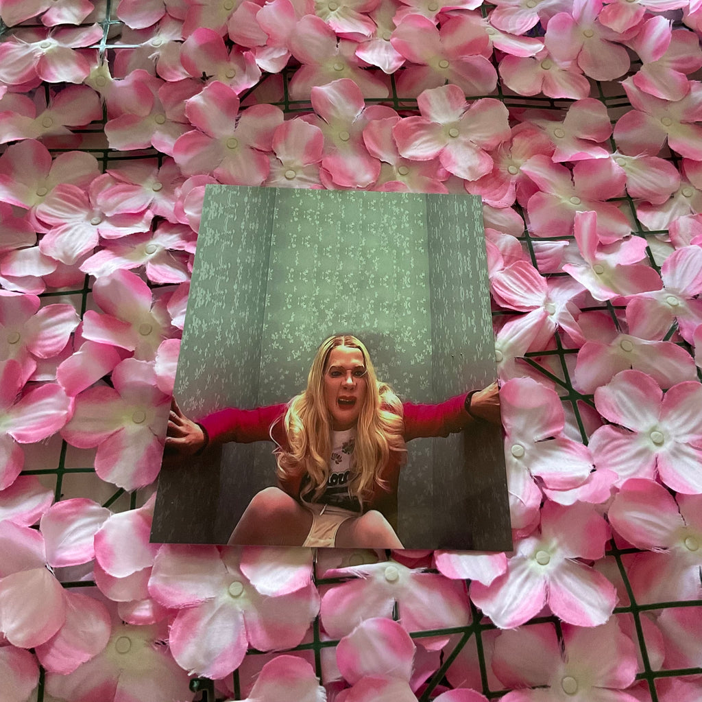 Lámina White Chicks