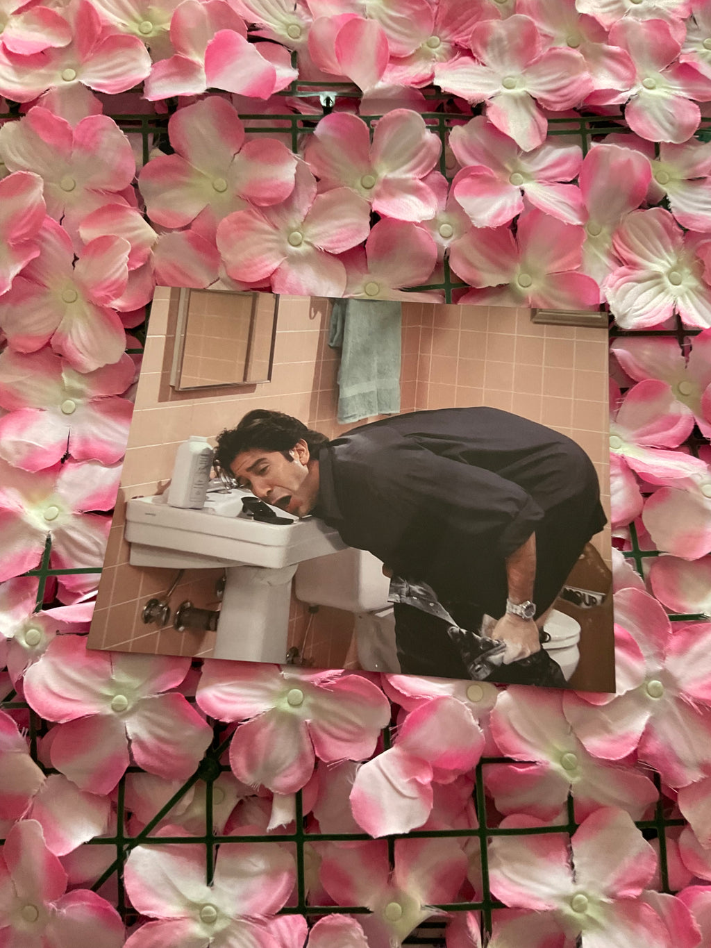 Lámina Ross Geller - Friends