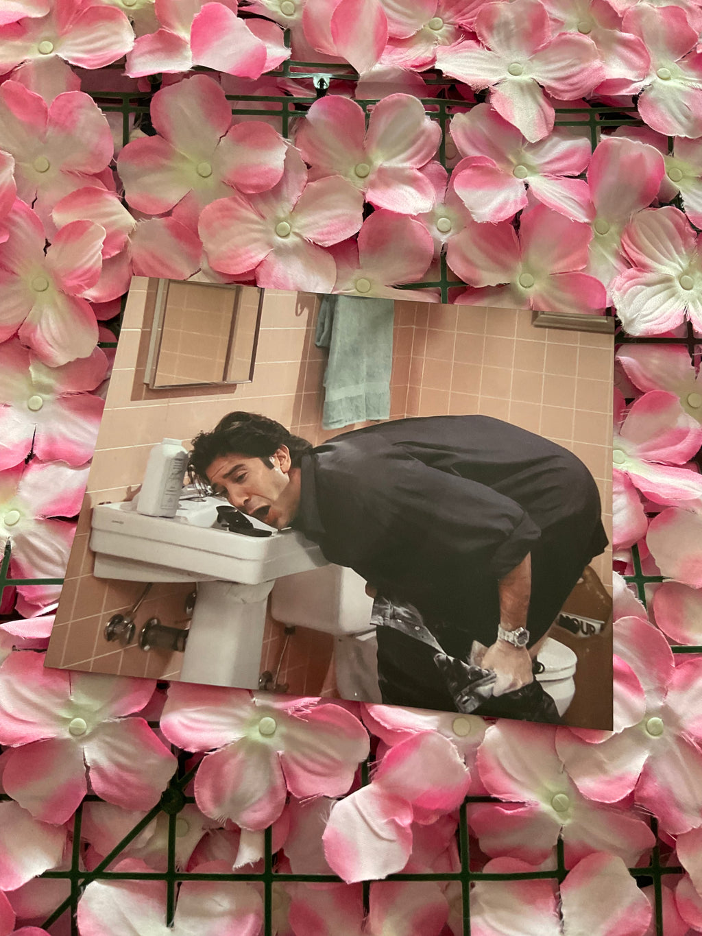 Lámina Ross Geller - Friends