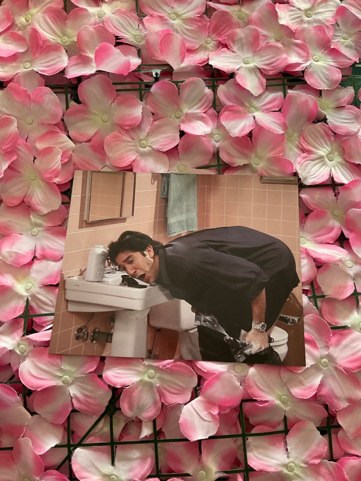 Lámina Ross Geller - Friends