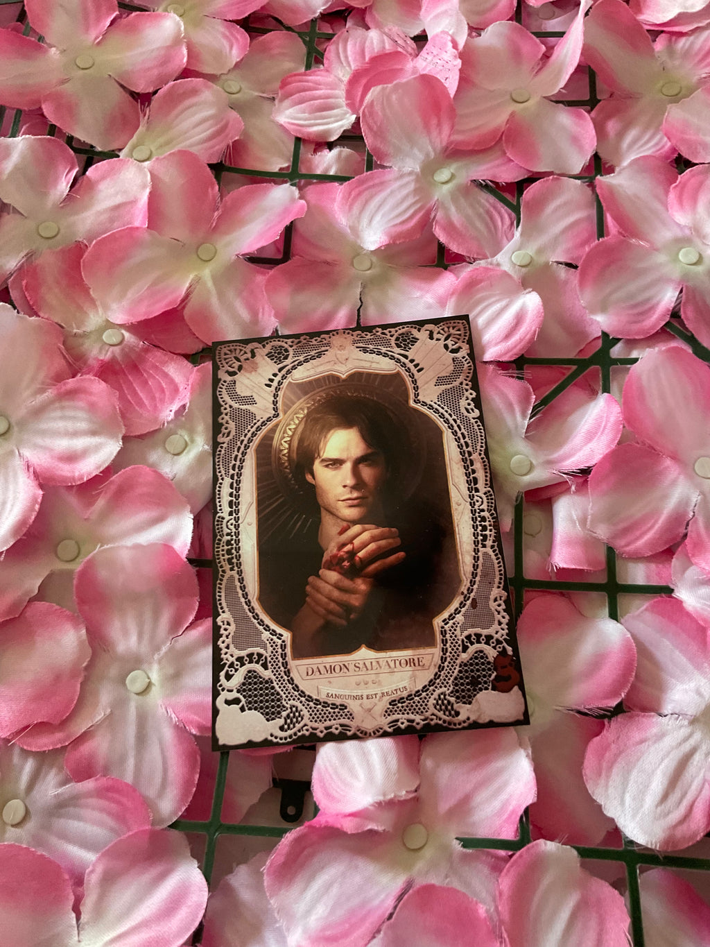 Postal Damon Salvatore