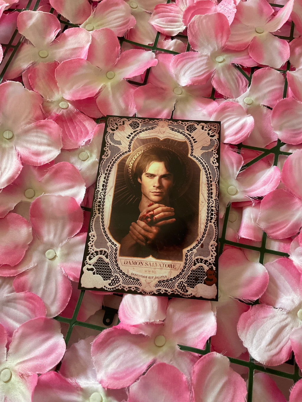 Postal Damon Salvatore
