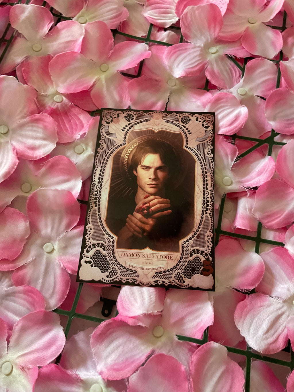 Postal Damon Salvatore
