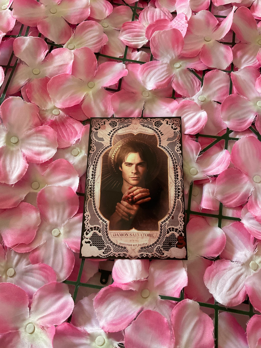 Postal Damon Salvatore