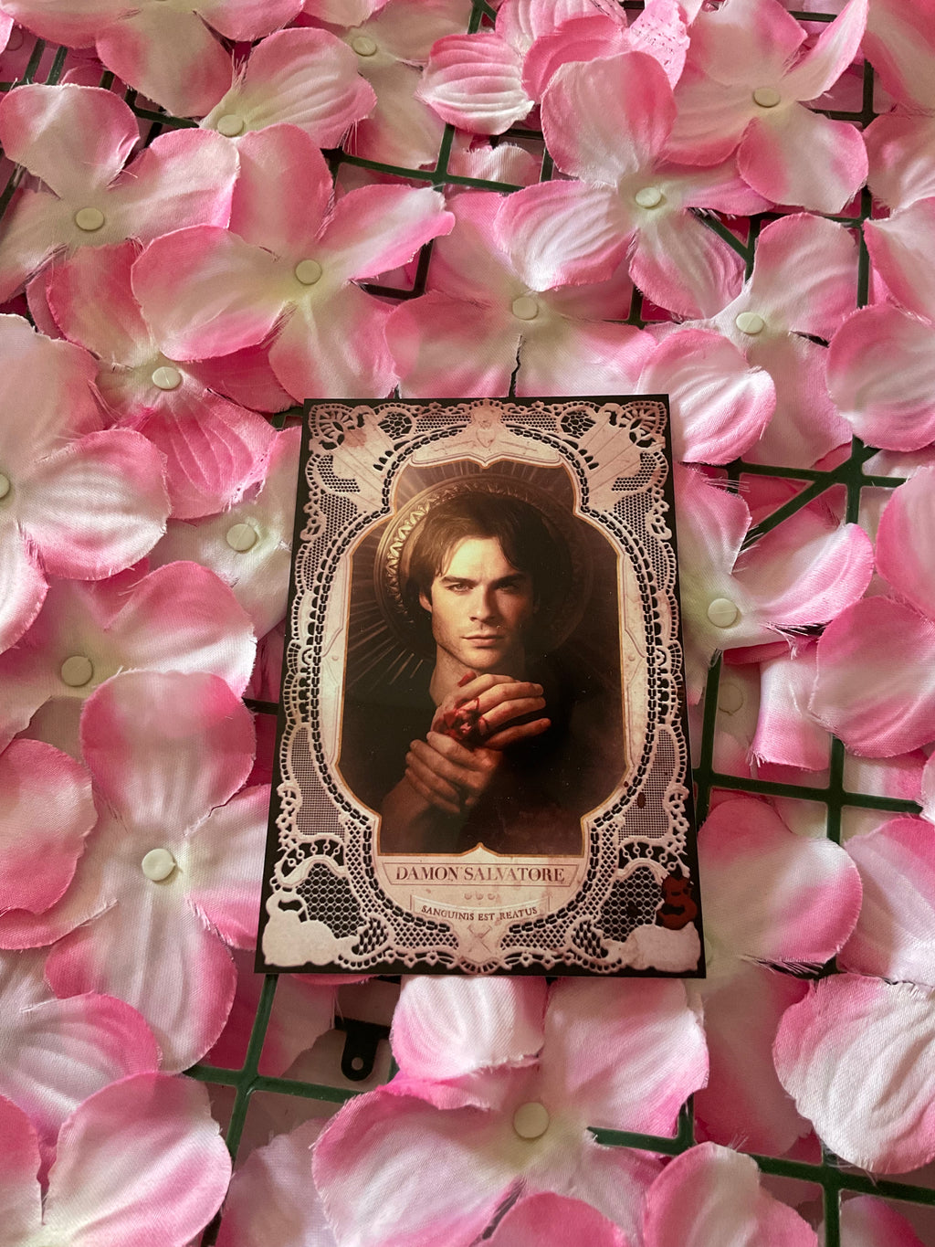 Postal Damon Salvatore