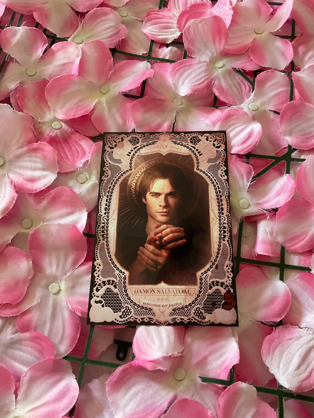 Postal Damon Salvatore