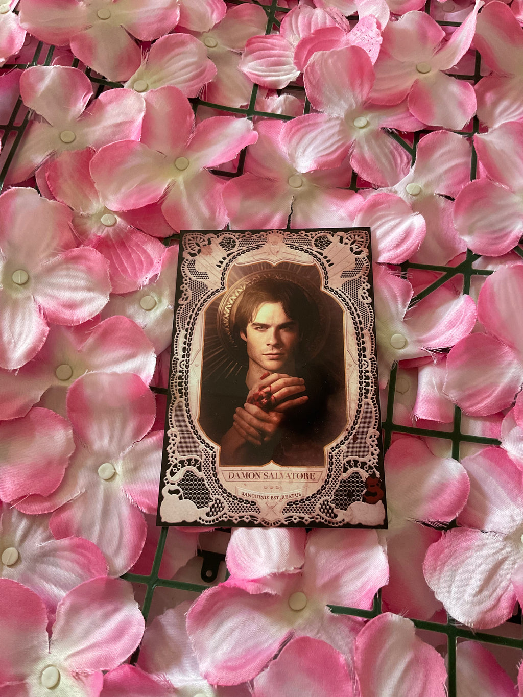 Postal Damon Salvatore