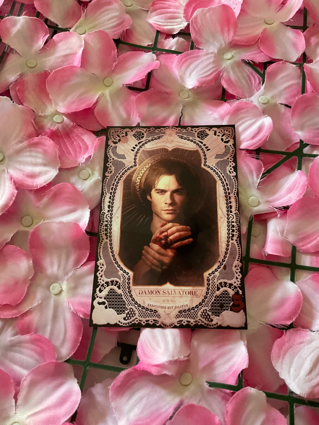 Postal Damon Salvatore