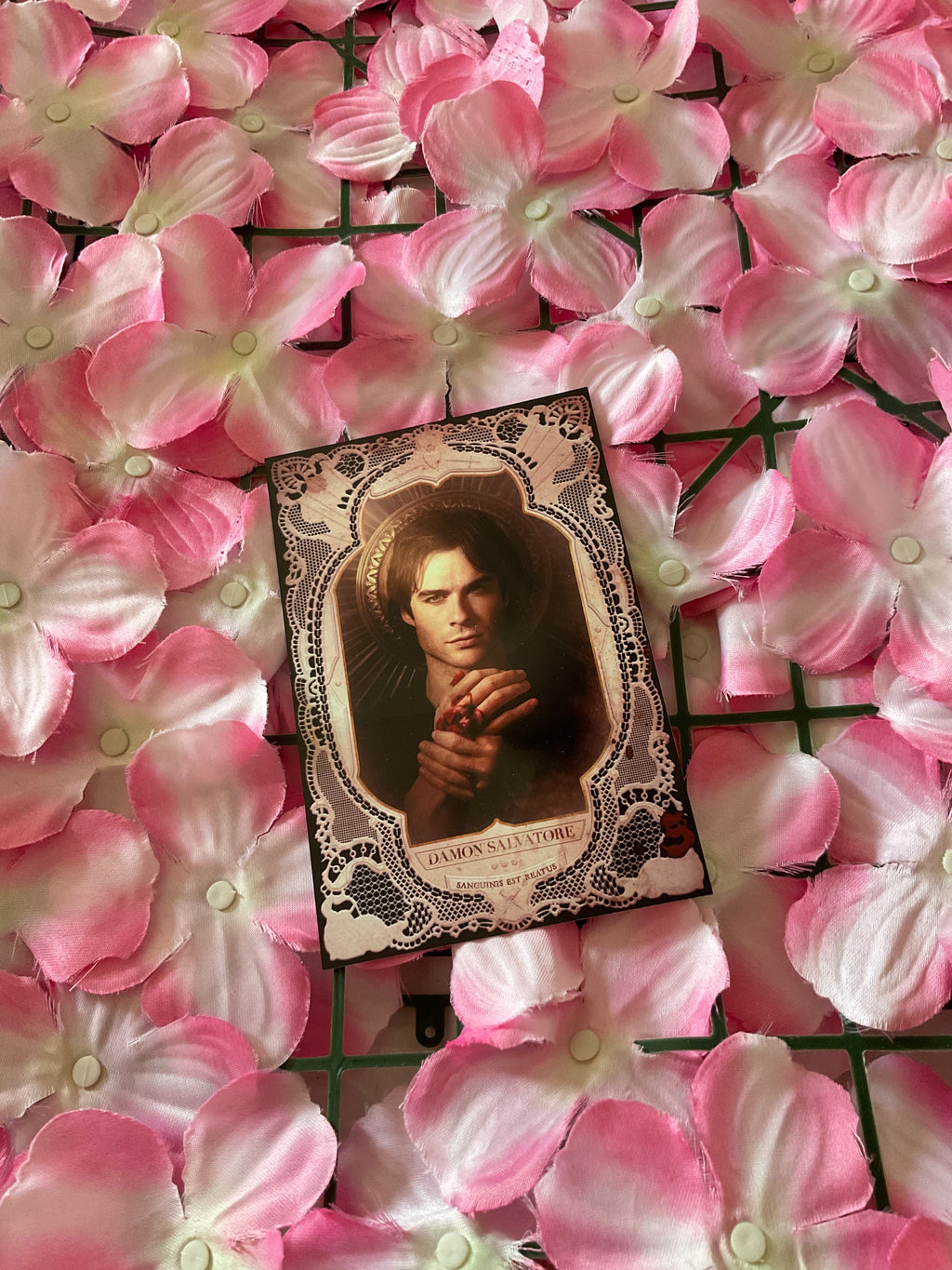 Postal Damon Salvatore