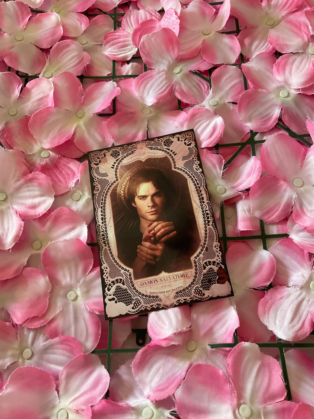 Postal Damon Salvatore