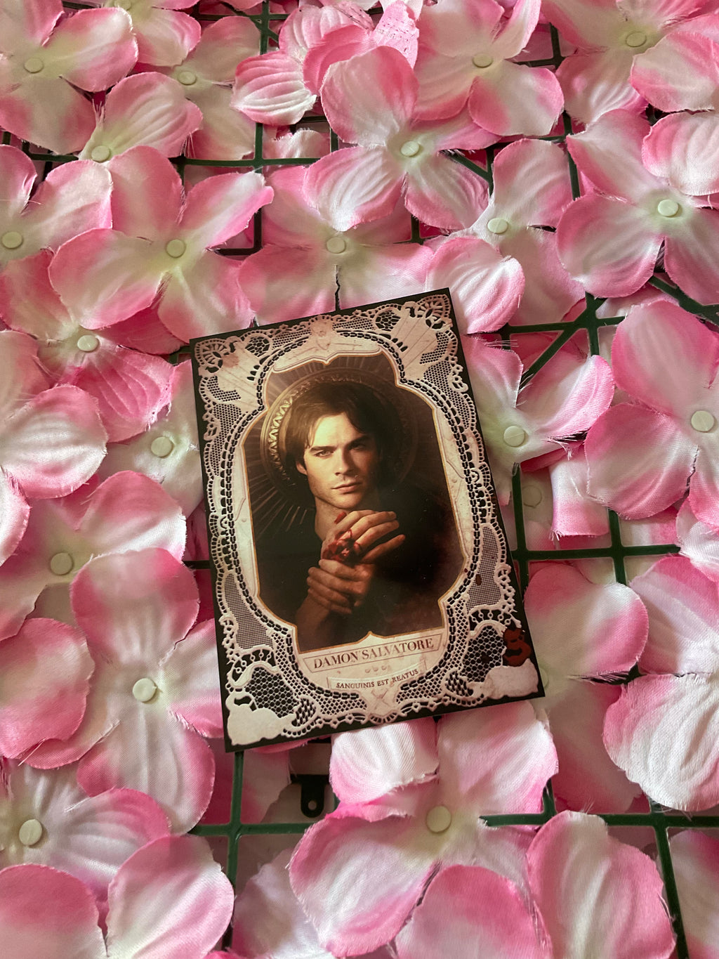 Postal Damon Salvatore