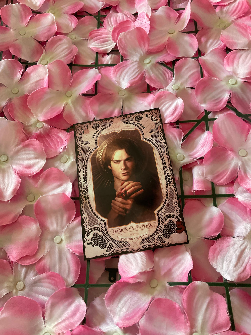 Postal Damon Salvatore